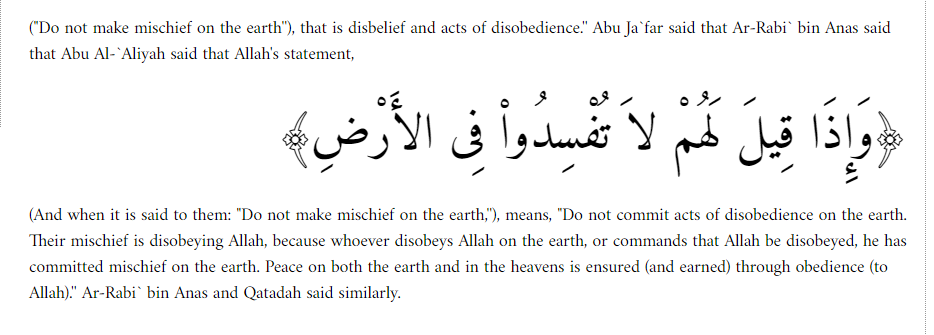 Koran 2 11 meaning of mischeif