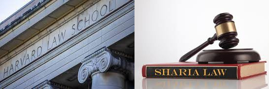 Harvard Law School ~ Islamic Law School